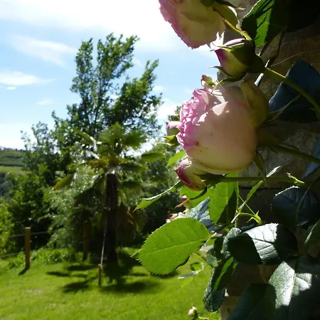 La Corte Di Langa * Albaretto della Torre