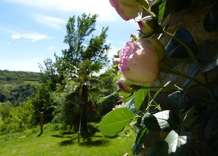 La Corte Di Langa * Albaretto della Torre